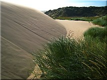 NK0125 : Newburgh: Sands of Forvie by Martyn Gorman