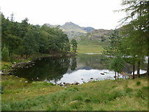 NY2904 : Blea Tarn (Langdale) and the Langdale Pikes by Peter S