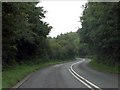 Wooded, winding Wilden Lane