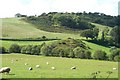 Circular knoll on Barchain Farm