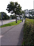 SO9987 : Wolverhampton Road View by Gordon Griffiths