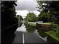 Flooded road, Mountjoy