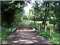 Footpath Over Stafford Brook