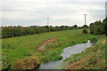 River Meese near the confluence with the River Tern