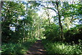 The Downs Link and Wey South Path