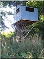 Tree house