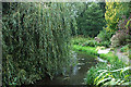 The leat at Caynton Mill