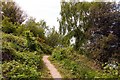 Footpath to the sea