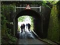 Torpeek Cross Railway Bridge