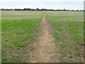 Footpath to Aylesham football pitch