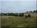 Field on Hagg Hill