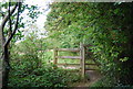 Kissing gate, North Downs Way, Star Hill