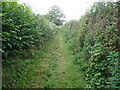 A green lane between the Clwydians and Ruthin