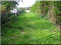 Footpath, Milbourne