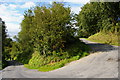 Rhos: road down to Nant-y-Bargoed, top hairpin