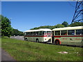 Greyhounds on the A40