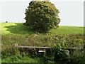 Stile and overgrown path to monument