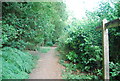 Footpath fingerposts enroute to Grayshott