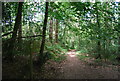 Footpath junction south of Grayshott