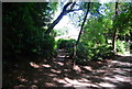 Bridleway off Stoney Bottom