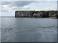 NT6598 : Isle of May cliffs by M J Richardson