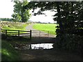 Ford, and pastures east of Cuddy