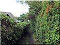 Footpath towards Congleton Road