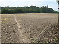 North Downs Way crosses a field near Higham Park