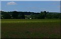 Farmland near Welbeck College