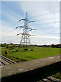 Lineside pylon, Sudbrook