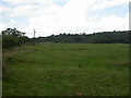 Wareham Common, watermeadows