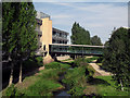 Brook and Bridge