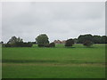 TQ5605 : Fields near Wootton Manor by Julian P Guffogg