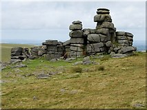 SX5476 : Great Staple Tor by Mike White