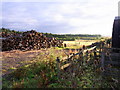 SO9346 : Wood stocks, Tiddesley Wood by Liz Stone