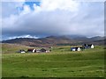 Houses at Cliaid