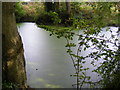 TM4265 : Pond in Theberton Woods by Geographer