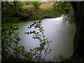TM4265 : Pond in Theberton Woods by Geographer