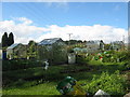 Allotments, Moor Lane