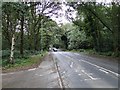 Gurney Road, looking towards Heartsease Lane, Norwich