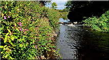 J4569 : The Enler River, Comber (2) by Albert Bridge