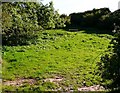 Enclosure near Broadsands neolithic chamber tomb