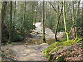 Bridleway through Mill Brook