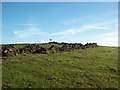 Dry Stone Walls on Spout House Hill