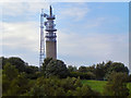 SD8304 : Heaton Park BT Microwave Tower by David Dixon
