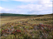 NN4659 : Moorland west of the Allt Chaldar by Dr Richard Murray