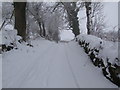 Bridlepath at Ty Uchaf