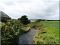 Buckland Burn at Mutehill