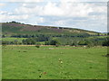 Farmland north of Layside