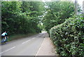 TQ4659 : A quiet country lane approaching Knockholt (Main Rd) by N Chadwick